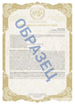 Образец Приложение к СТО 01.064.00220722.2-2020 Сосновый Бор Сертификат СТО 01.064.00220722.2-2020 